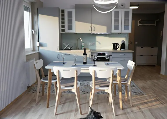 Amerigo 弗罗茨瓦夫