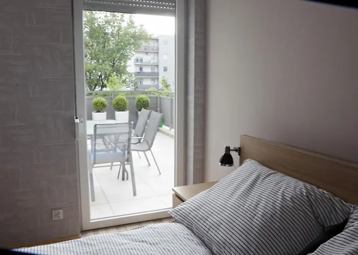 Amerigo * ורוצלב